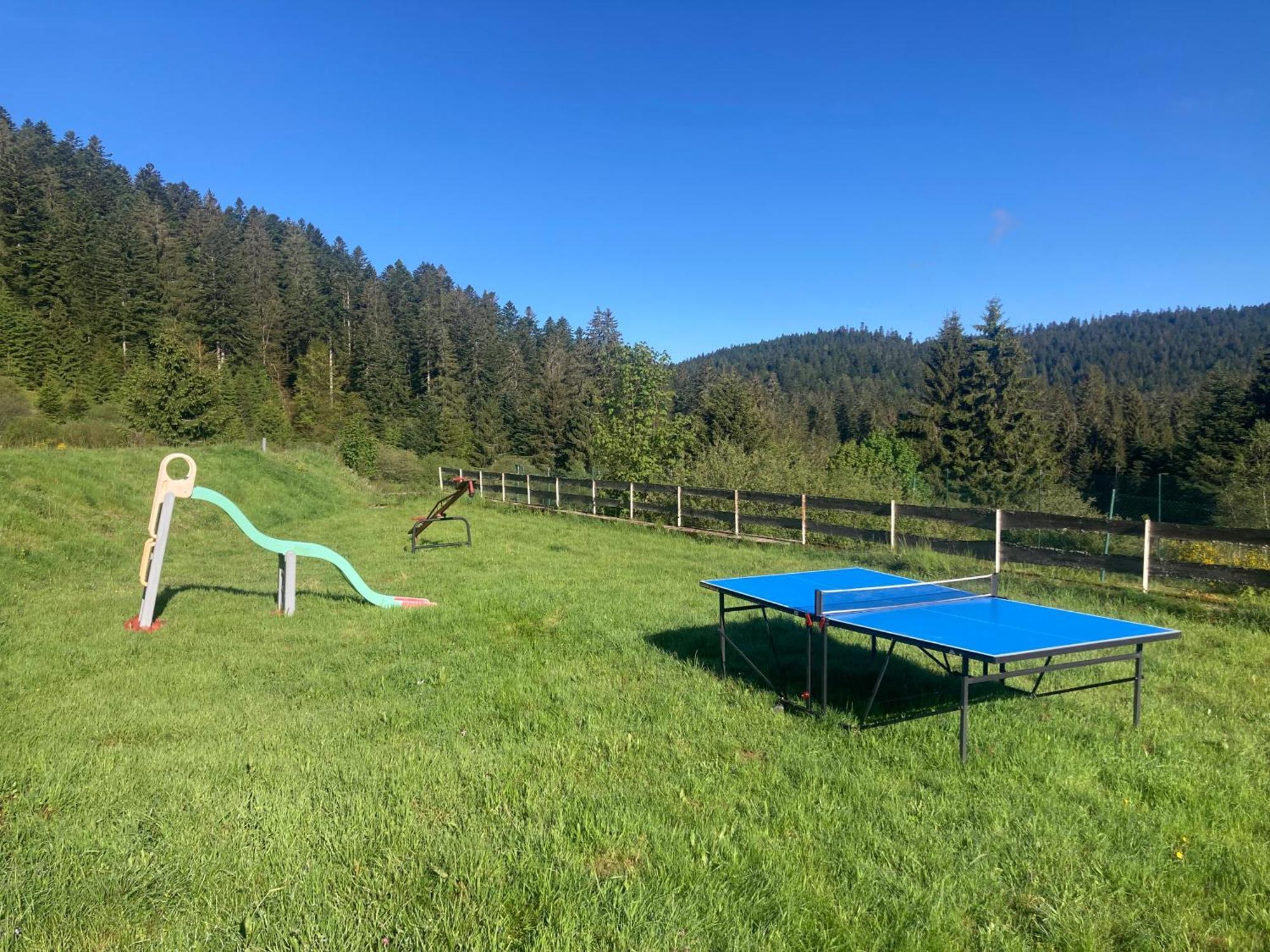 Le Perchoir, Gite 7 Personnes, Le Grand Valtin Ban-sur-Meurthe-Clefcy Εξωτερικό φωτογραφία